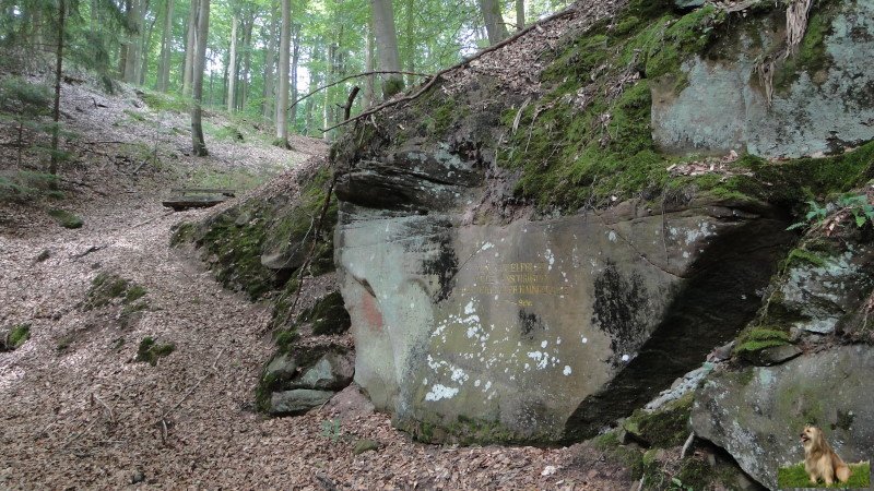 Ritterstein Nr. 090-3 Zum Kanzelfelsen mit den Inschriften der Teilung der Haingeraide 108 Schr..JPG - Ritterstein Nr.90  Zum Kanzelfelsen mit den Inschriften der Teilung der Haingeraide 108 Schr.